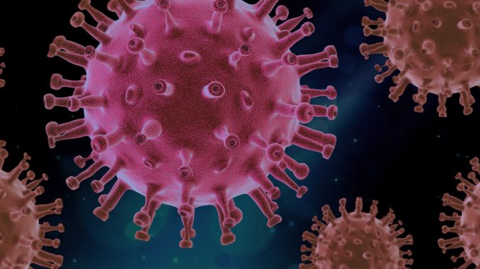 virus-4937553_1920
